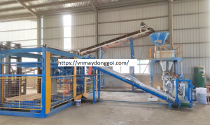 Máy xếp bao lên pallet dạng cẩu trục 2 buồng tốc độ cao